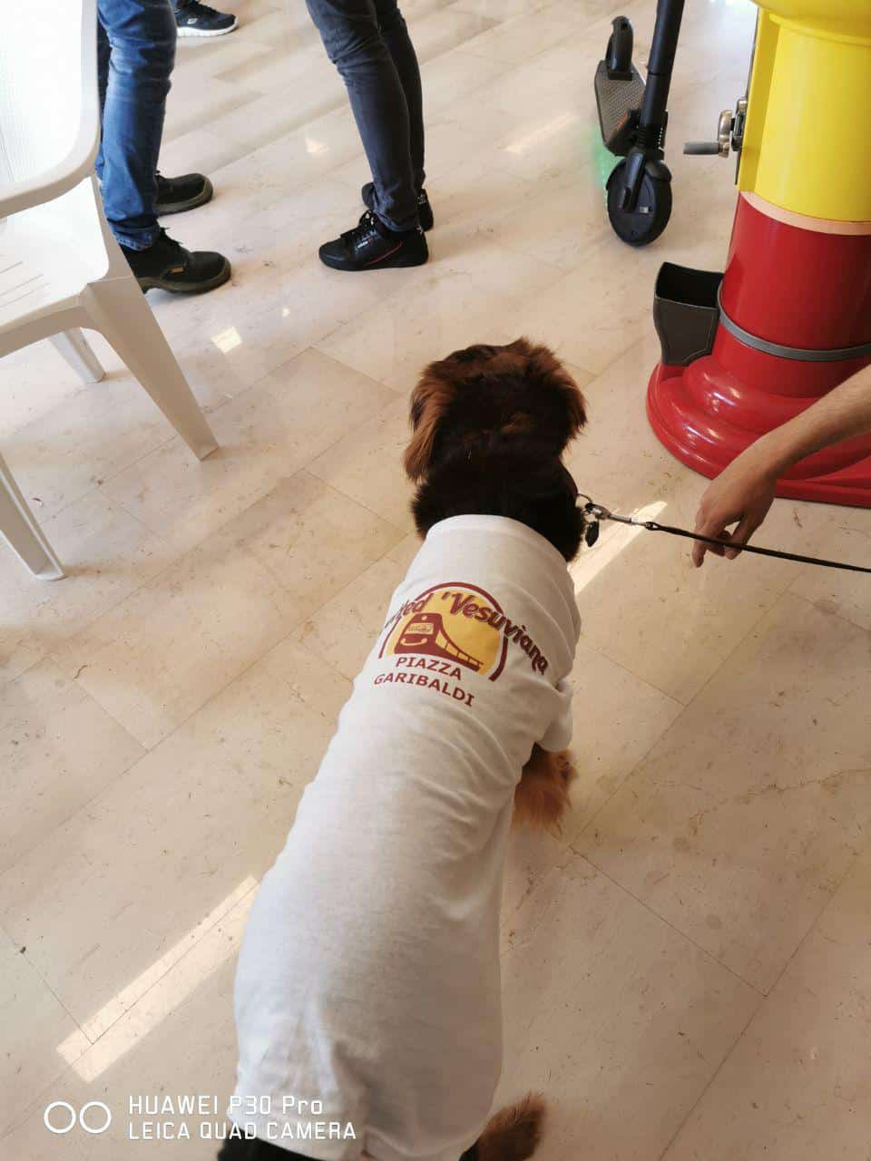 Mascotte ufficiale spotted vesuviana